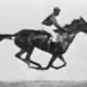 Secuencia animada de un caballo de carreras al galope